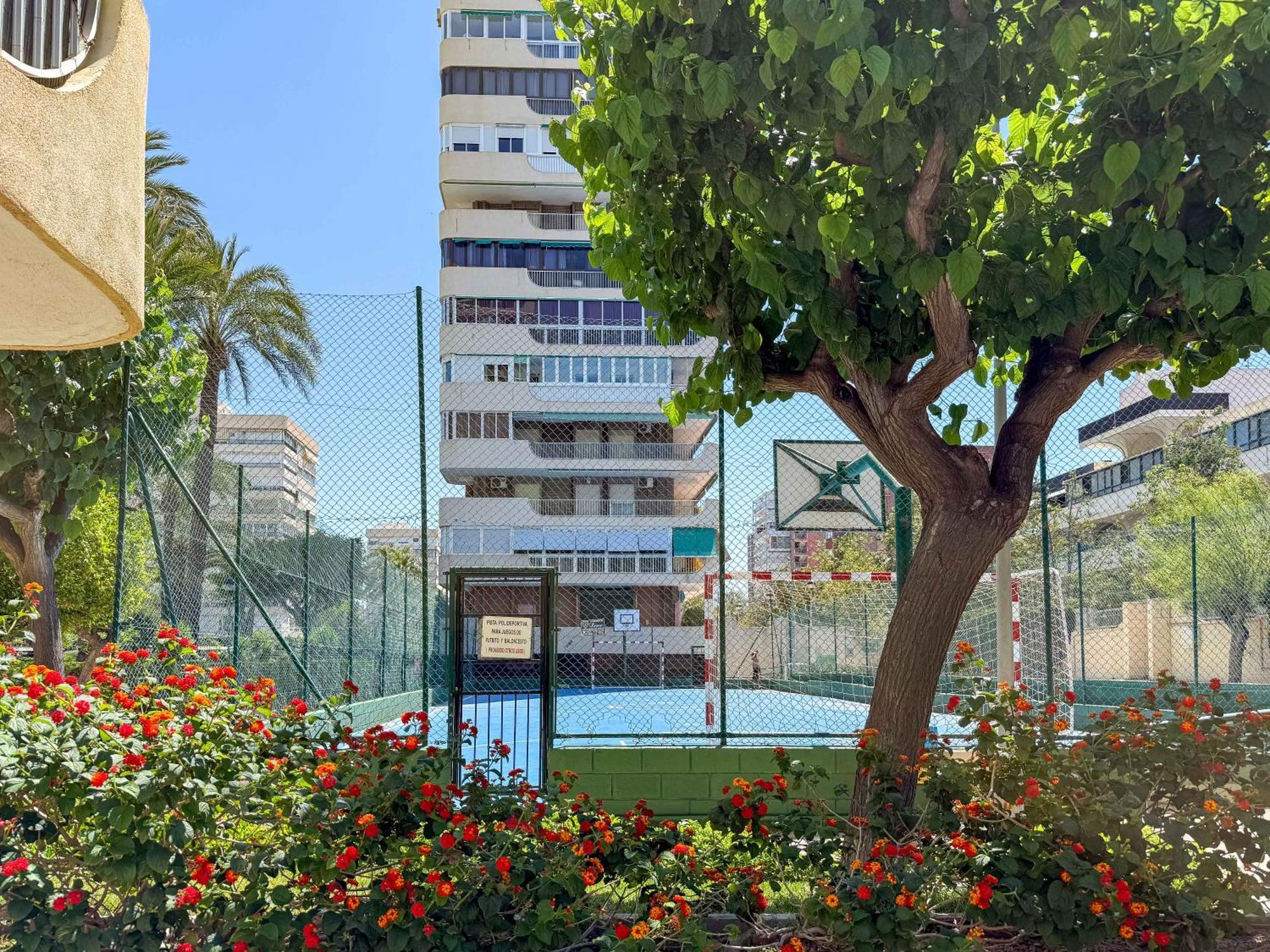 Encantador Y Coqueto Loft A 8 Min. De La Playa. Аликанте Экстерьер фото