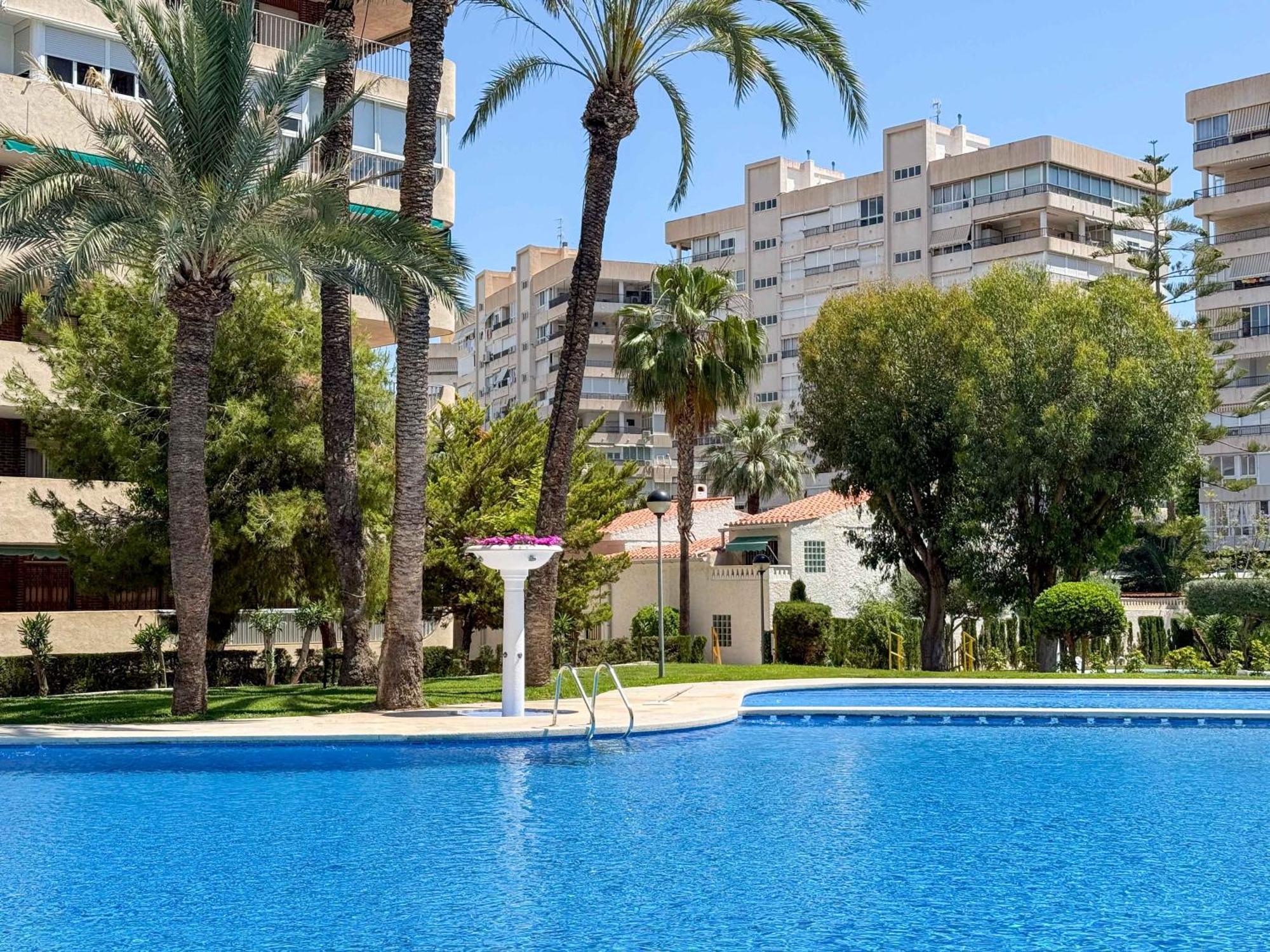 Encantador Y Coqueto Loft A 8 Min. De La Playa. Аликанте Экстерьер фото